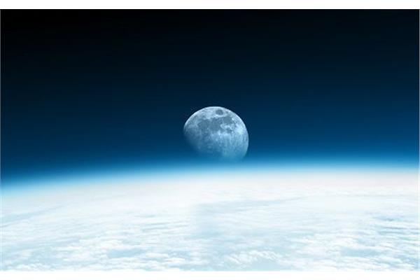 生成摘录、寻找图片无所不能：Copilot版Word截图现身