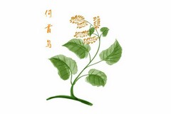 合伙开木材加工厂协议书_合伙开工厂协议书三人
