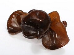 学校积分制管理制度_小学积分制管理制度