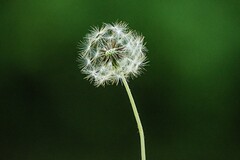 保安管理小区规定_保安物业管理制度