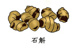 劳务雇佣合同什么意思_劳务雇佣合同