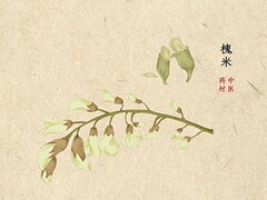 劳务公司年度总结(劳务公司年度总结怎么写)