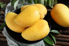 支教保研申请书范文_支教申请书范文