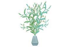 福州有哪些私立高中(福州私立高中排名榜)
