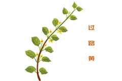 兼职教师劳务合同(兼职教师合同属于劳务合同吗)