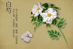 正规饭店转让的合同(店面转让合同怎么写)