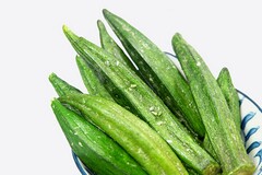 森林防火工作简报(森林防火工作简报内容)