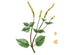 收获知识作文(收获知识作文600字左右)