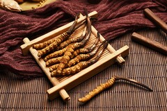 新员工岗前培训协议书_新员工实习期培训协议