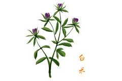 万能的初中数学说课稿_初中数学说课稿万能