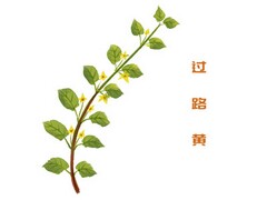 个人劳动合同标准版_劳动合同法标准版