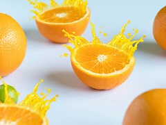 最新租赁合同_最新居间合同