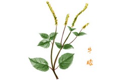 抵押典当合同_购销抵押合同