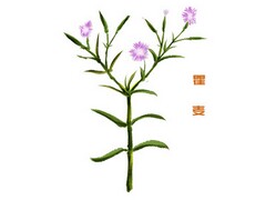 抖音热门文案怎么写(抖音视频最热门文案)