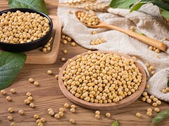 装修合同参考样本_装修合同范本模板