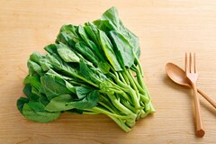力学专业硕士生的自我评价_机械类研究生简历自我评价