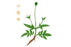 土地抵押借款合同_土地使用权借款抵押合同