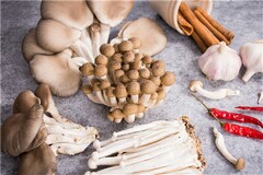 一年级语文说课稿《一去二三里》(一年级语文说课稿)