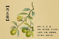 酒店会议纪要(酒店客房会议纪要怎么写)