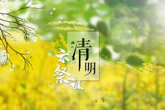 调解协议书多久强制执行_调解协议书