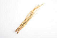 商铺转租合同电子版免费_商铺转租合同