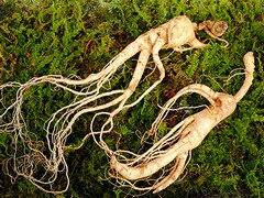 车辆货物运输合同_车辆货物运输合同范本