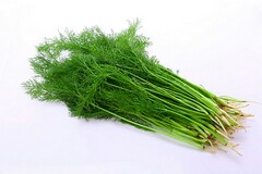 农业种植买卖合同(公司与农户种植合同)