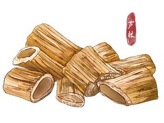 劳务合同免费版_劳务合同