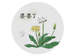 学习的口号