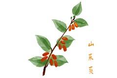 公司个人合伙协议书(公司与个人的协议书模板)
