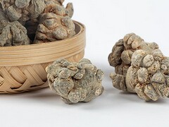员工用车安全协议书_员工使用公司车辆协议书范本