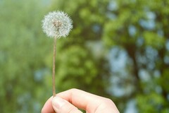 土地买卖合同正规范本_土地买卖合同