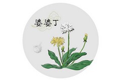 道闸系统施工方案_道闸系统安装施工合同