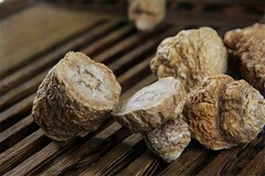 公司股东协议书(有限公司股东协议书)