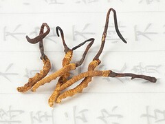 小学生消防安全教育_小学生消防安全教育视频