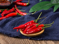 试用合同范本_《公司试用合同书》