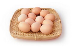 桥梁劳务分包合同_桥梁劳务分包合同
