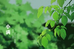 经营部编标二室投标报价岗位竞职报告(经营管理岗位竞聘报告)