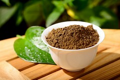 绿化劳务合同(绿化施工劳务合同最新范本)