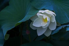 承包上料多少钱一吨_上料承包的协议