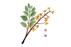 北京说课稿_2008，北京!说课稿